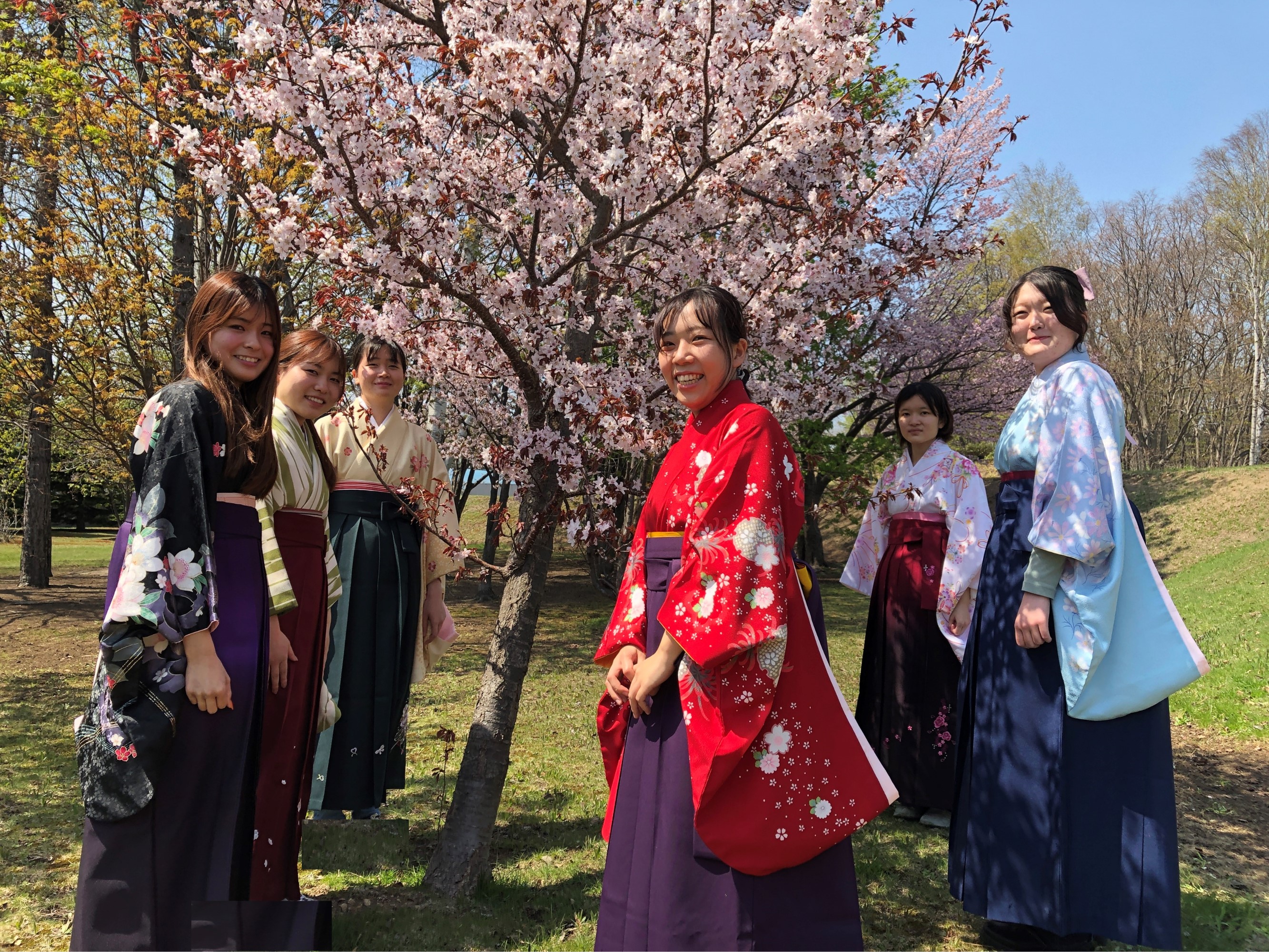 【一年前の花キャンの桜と2023年4月26日】