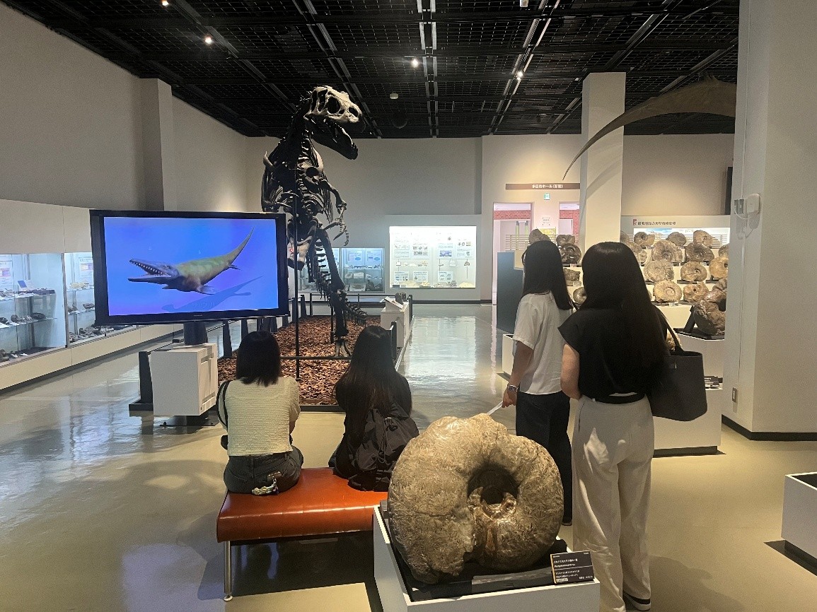 博物館で化石やアンモナイトの展示をみてきました