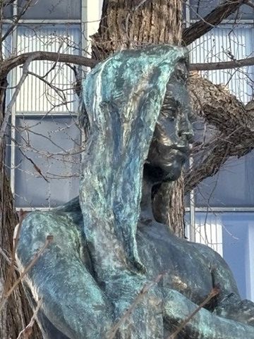 ■後頭部近く、縦に長く鳥の糞が付着