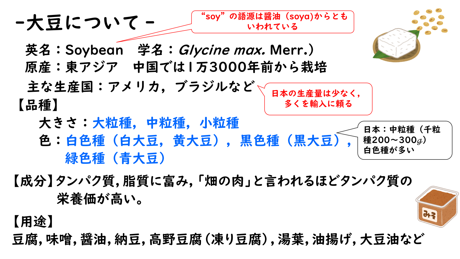 栄養学と食品学の講義では、豆腐の原料となる大豆の成分と体内での働きについても学びます。