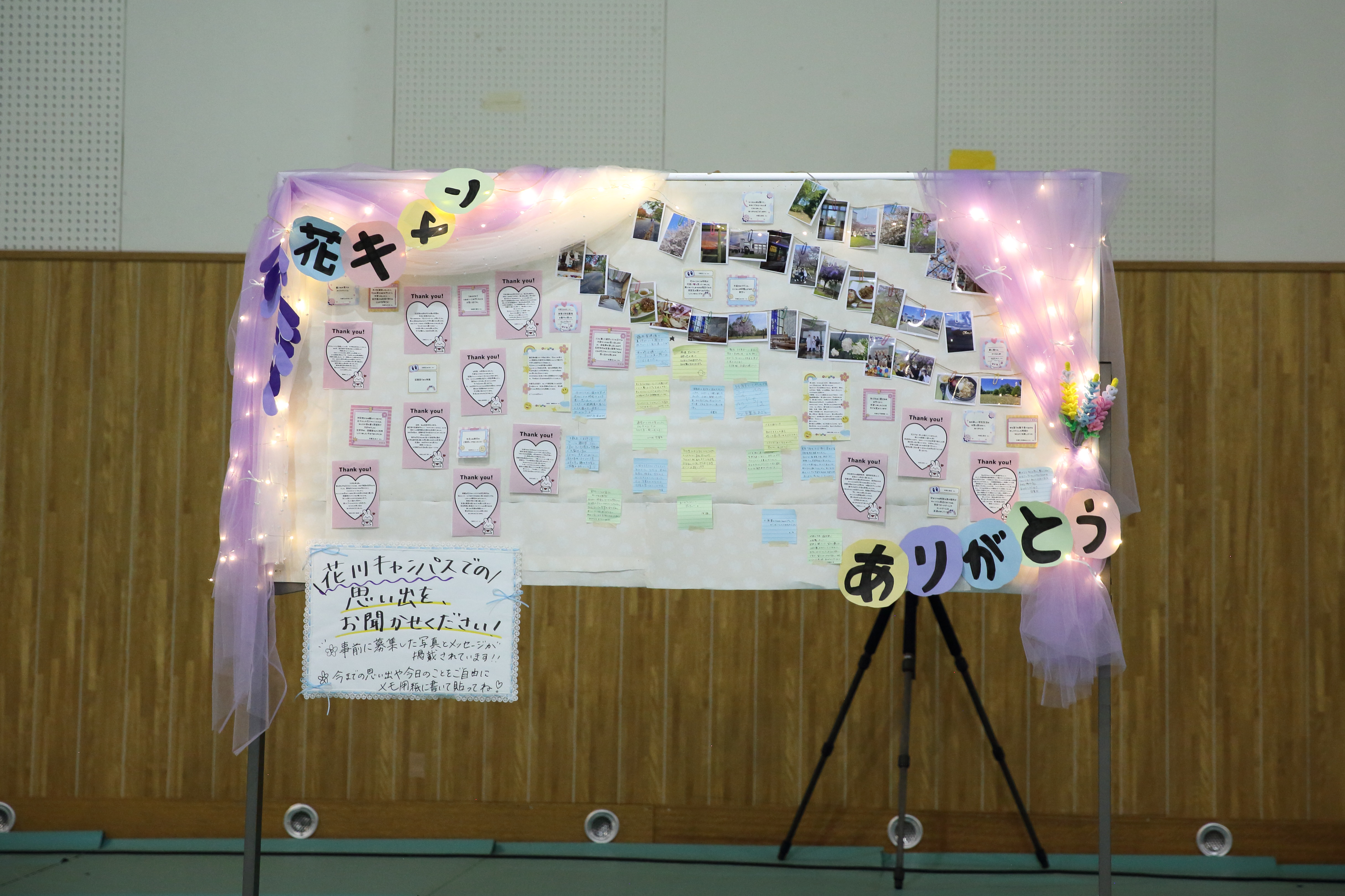 6I2A4482.JPG
